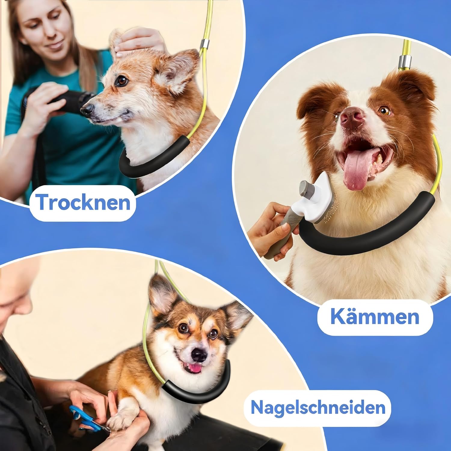 Detalle de Faltbarer Hundepflegetisch-Arm mit Tischklemme – Höhenverstellbar 66–102 cm, inkl. Hängematte & Anti-Sitz-Schlaufe