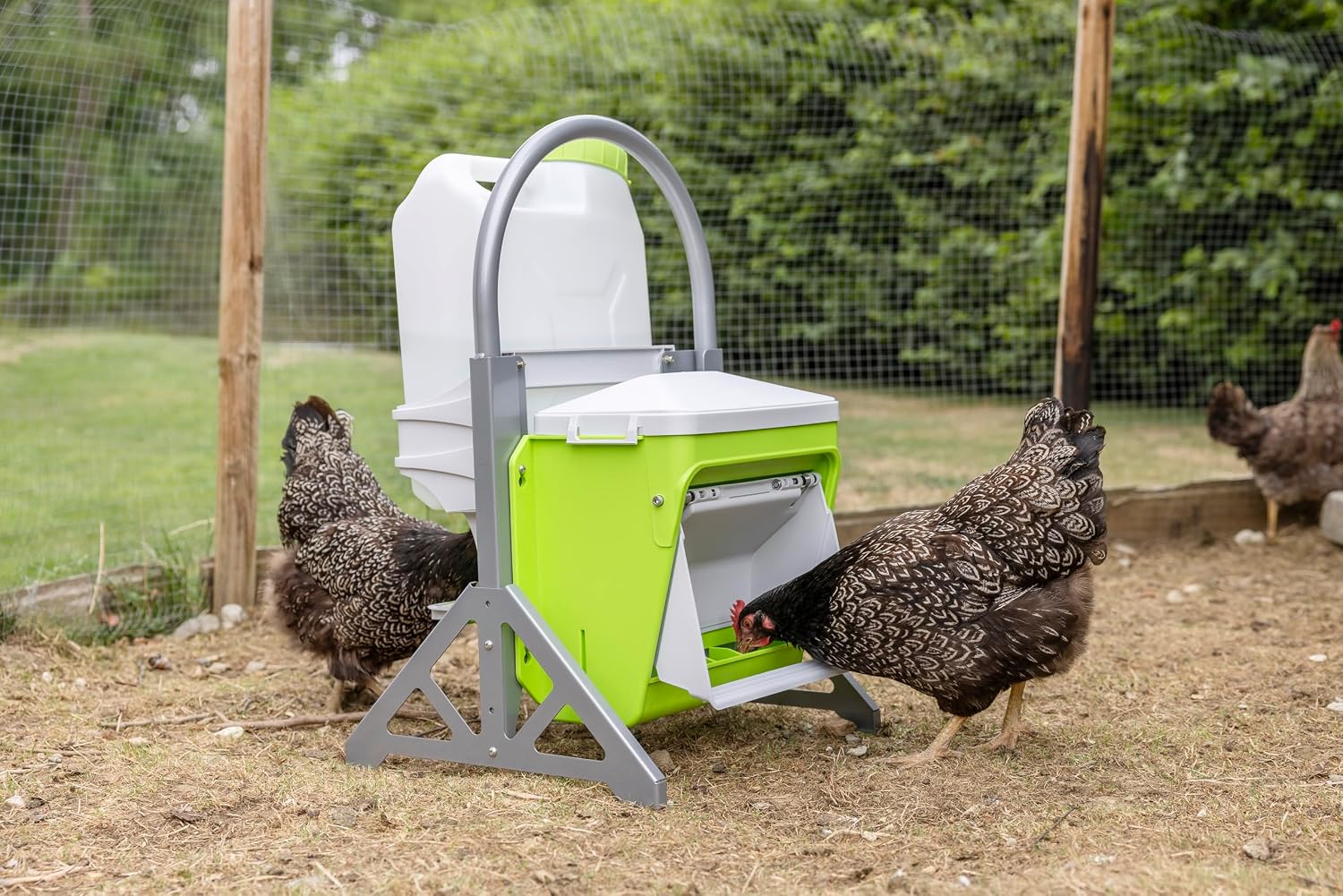 Detalle 2 de Kerbl Hobbyfarming SmartCoop – mobilny stojak do poidła i karmidła, szary
