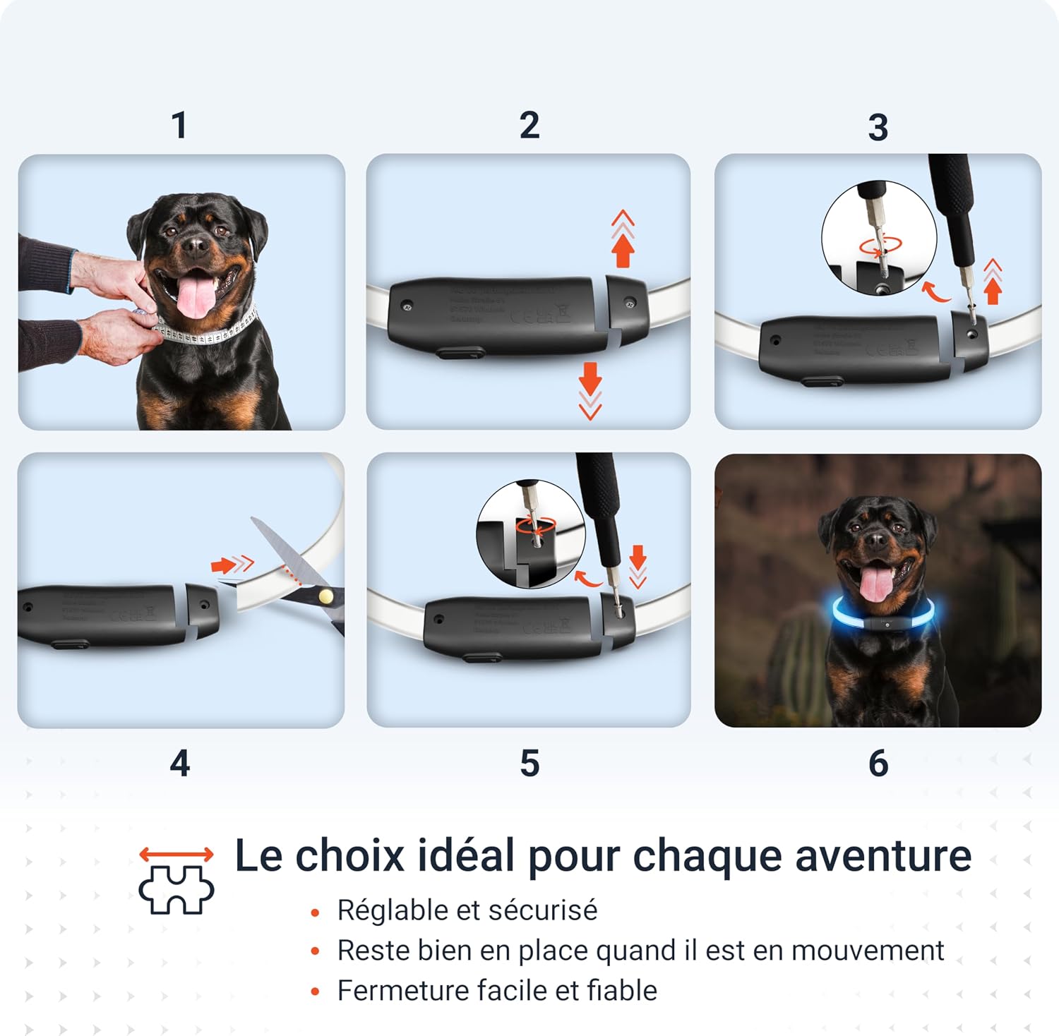 Thumbnail 5 de PAJ Light Collier lumineux pour chien 20–70 cm