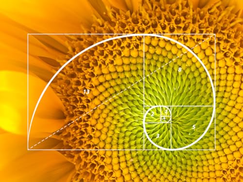 Thumbnail 6 de SIMBOLIKS Espiral Fibonacci Pendientes