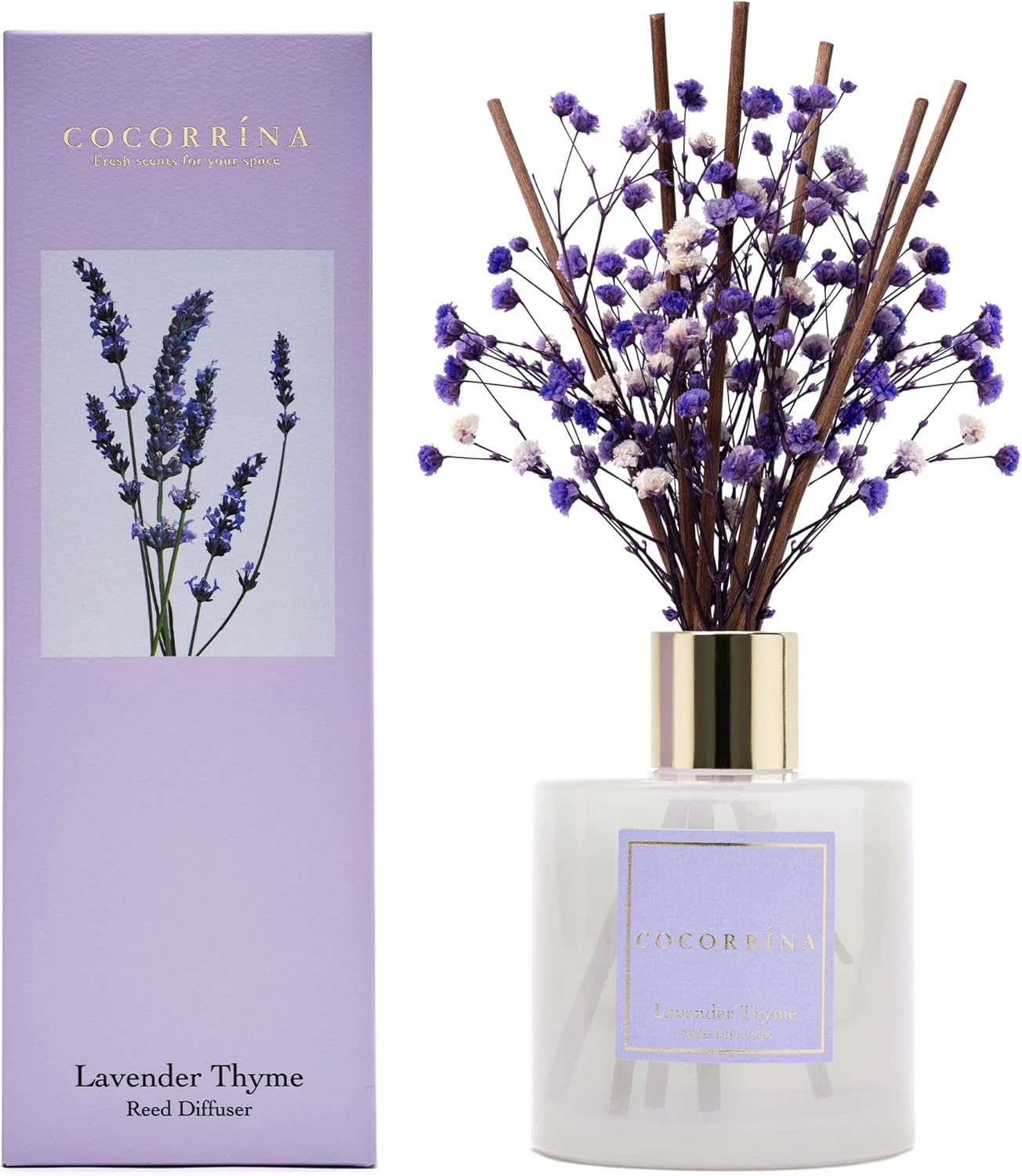Cocorrína Premium Reed Diffuser Set 6.7oz 🕯