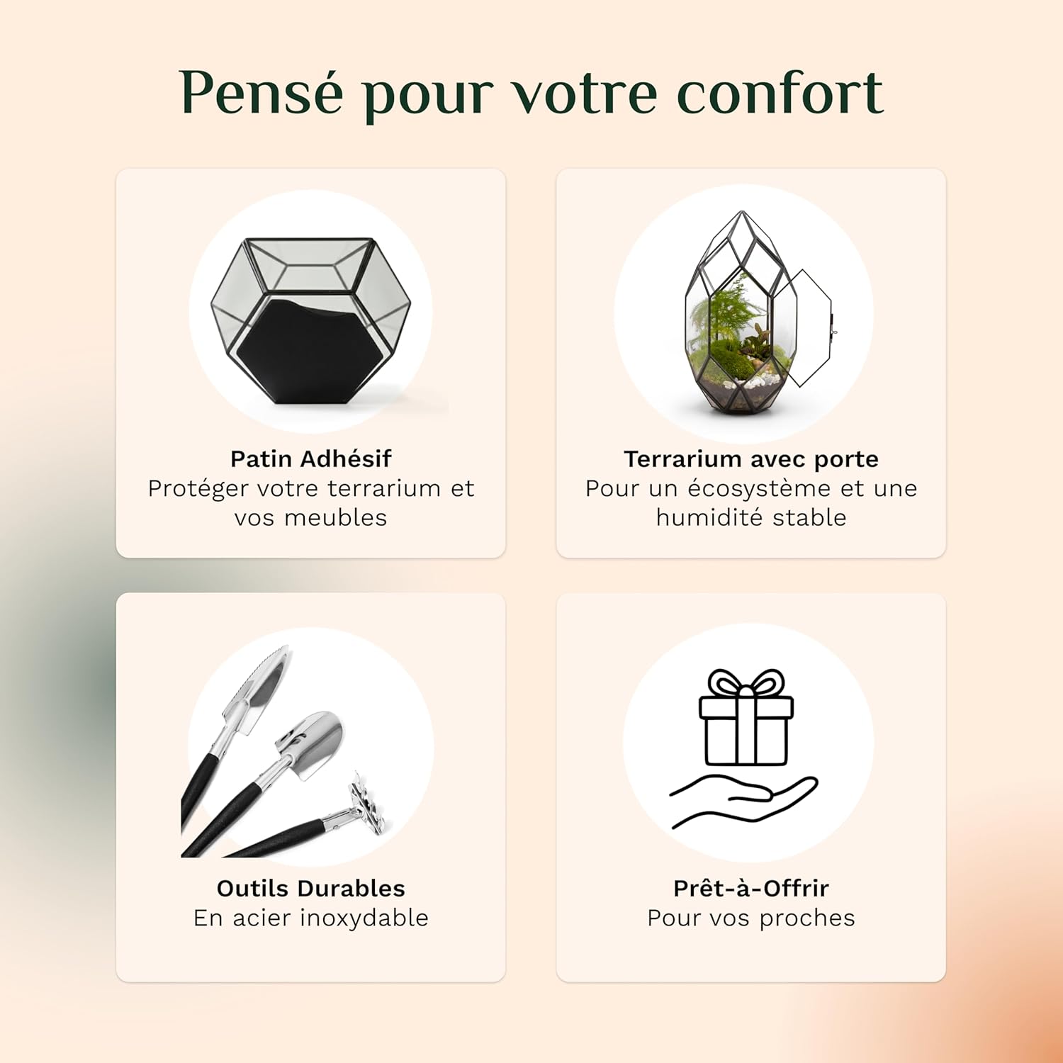 Detalle 2 de Lush Sphere PLUXEA – Kit terrarium complet DIY (sans plantes)