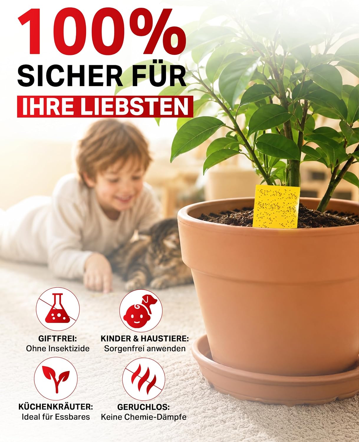 Detalle 1 de PIC Gelbsticker 60x Gelbtafeln gegen Trauermücken 🪰