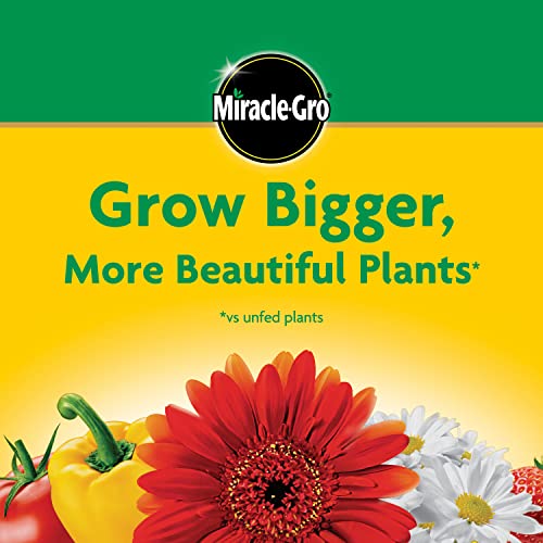 Thumbnail 6 de Miracle-Gro Water Soluble All Purpose Plant Food, 3 lb — Quick, Versatile Nutrition for Indoor and Outdoor Plants