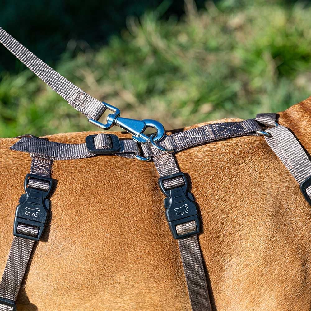 Detalle 2 de Ferplast Brave Medium arnés antiescape ajustable para galgo