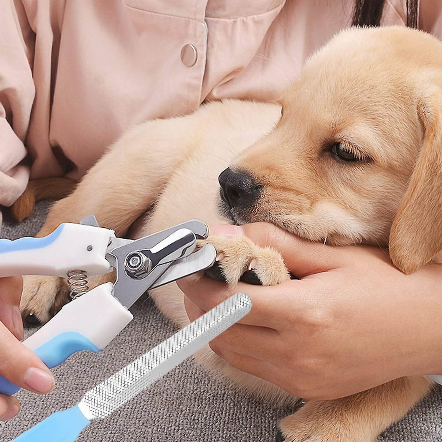 Thumbnail 1 de HWZENQZ Pet Nail Clippers With Nail File: Safety Lock, Protective Cover, and Universal Blade for All Dog Breeds