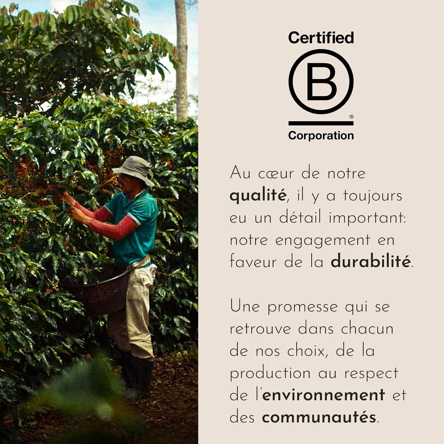 Detalle de illy Café en Dosettes E.S.E Monodose Classico – 100% Arabica, notes fleur d’oranger et jasmin