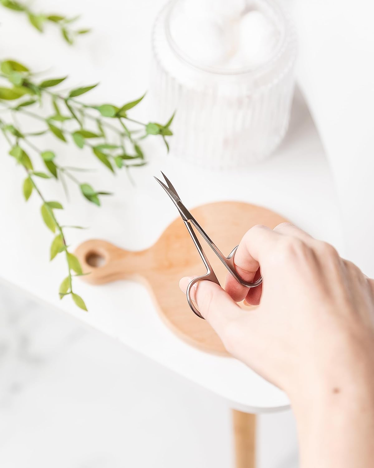 Thumbnail 5 de Amazon Basics Beauty Scissors (Stainless Steel, Curved Precision Cutting) — Silver