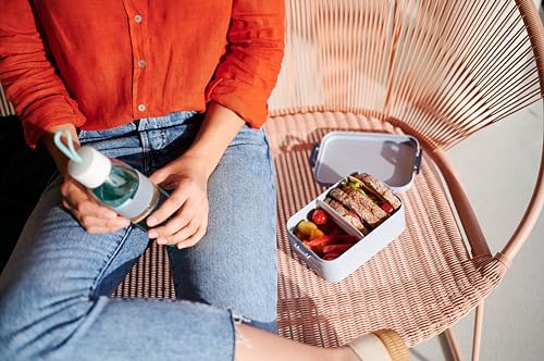 Detalle de Mepal Take a Break Midi Lunchbox – 900 ml, BPA-frei, Trenner, spülmaschinenfest, Nordic Sage