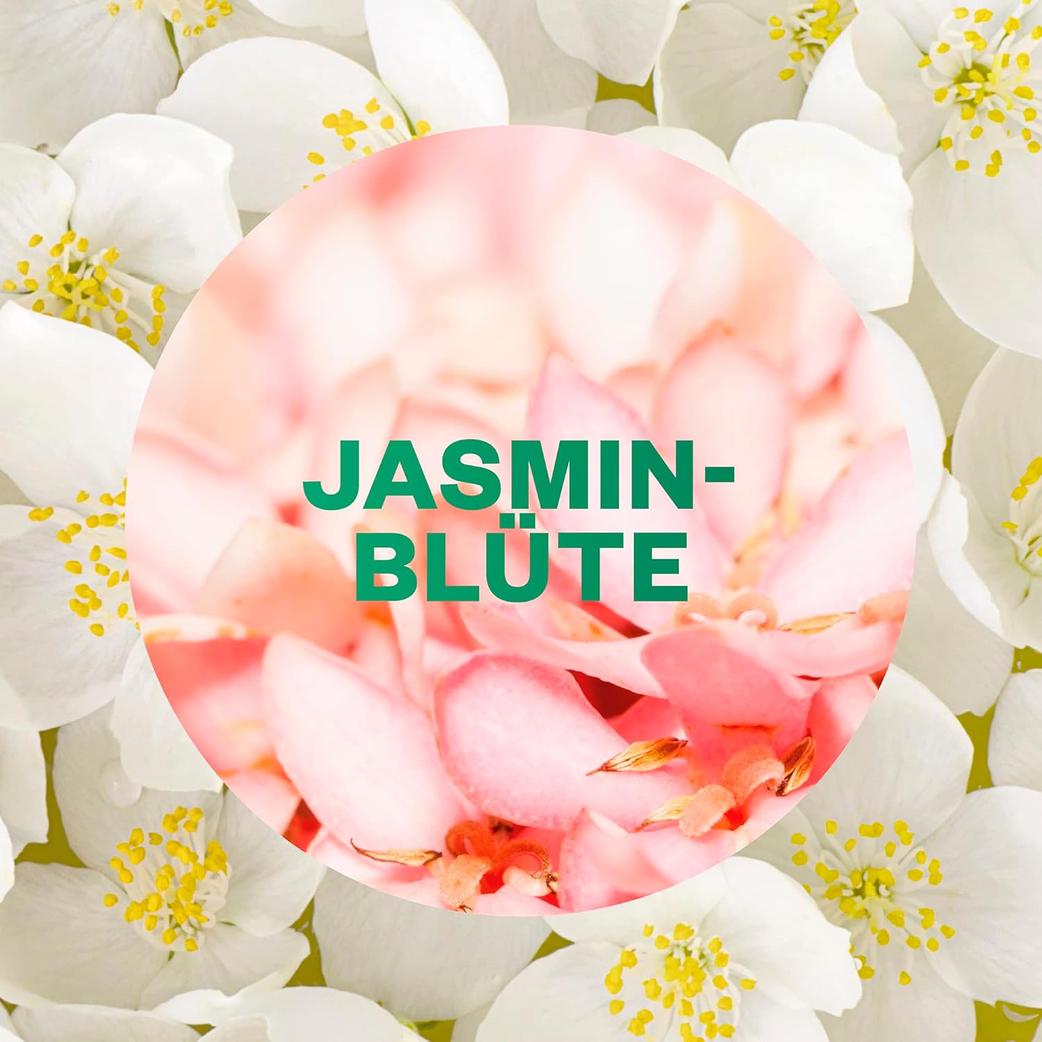 Thumbnail 3 de Air Wick Active Fresh Wasserbasierter Lufterfrischer Jasminblüte – 4 x 228 ml Nachfüller
