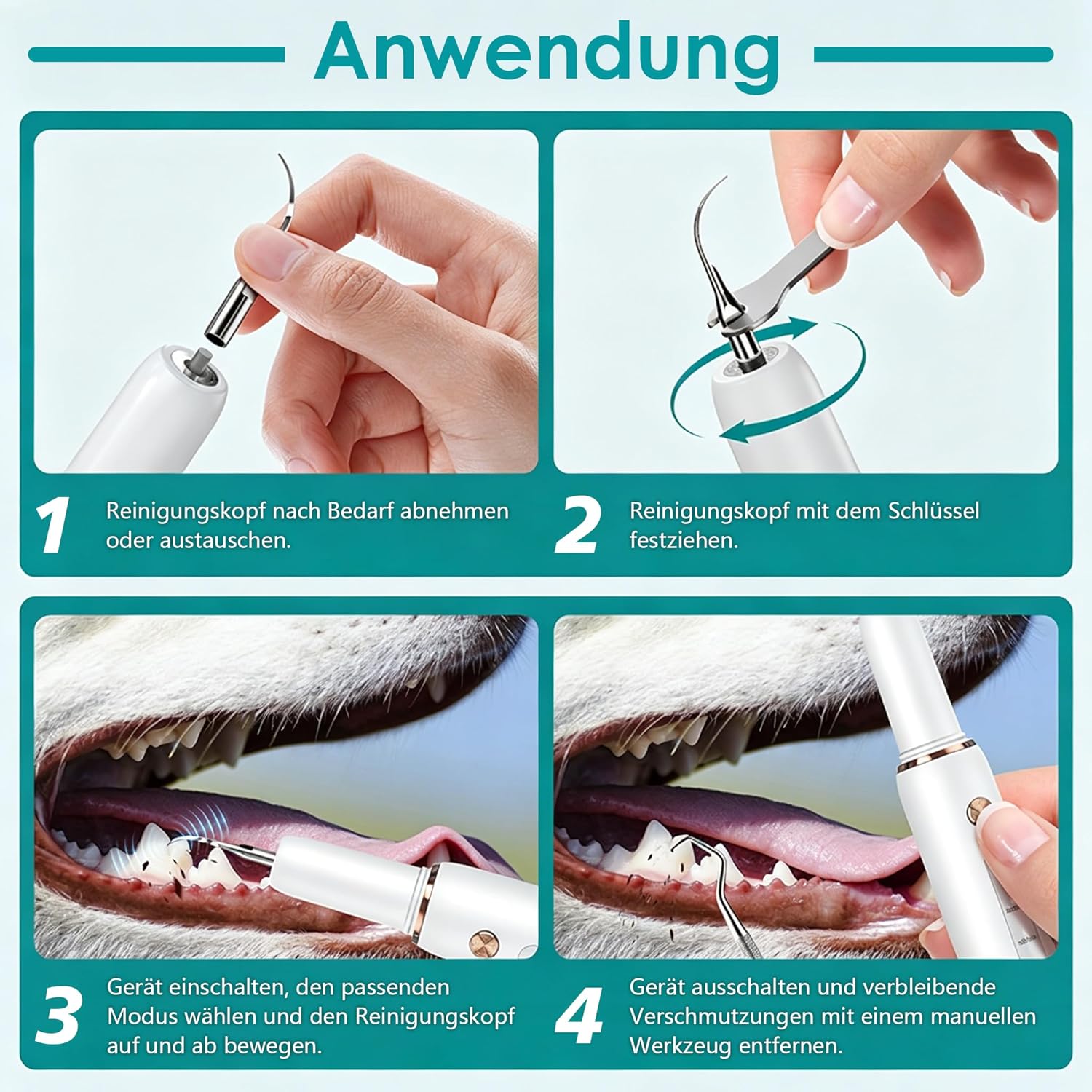 Thumbnail 5 de FIVAVA Pulizia Denti per Cani e Gatti: kit ricaricabile con 5 modalità