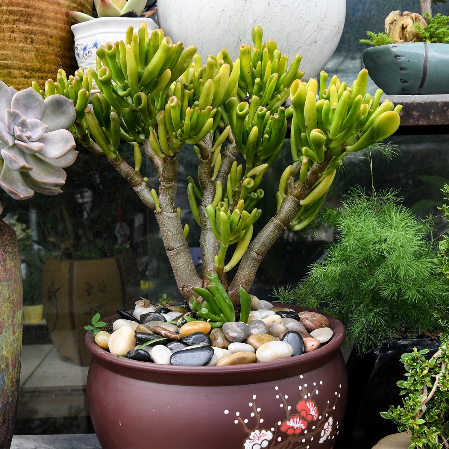 Thumbnail 2 de Hisredsun 3.96 lb Large Decorative Stones: Natural Polished River Rocks for Pots, Gardens and More