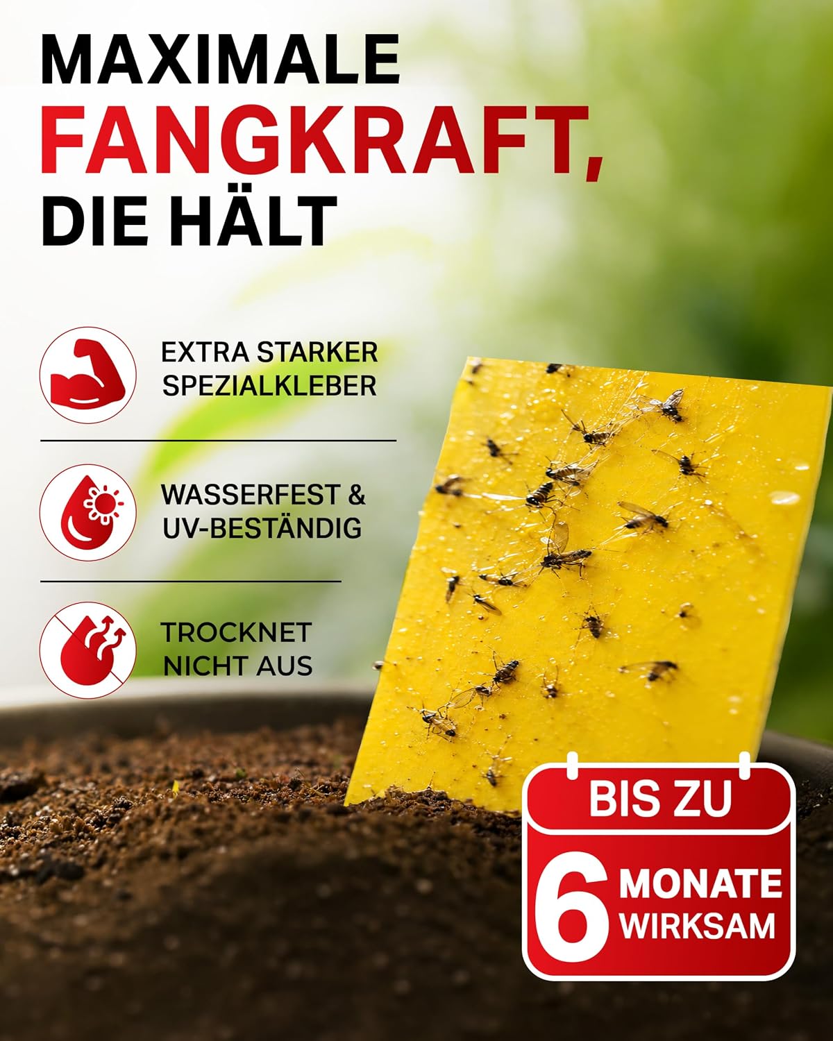 Detalle 2 de PIC Gelbsticker 60x Gelbtafeln gegen Trauermücken 🪰