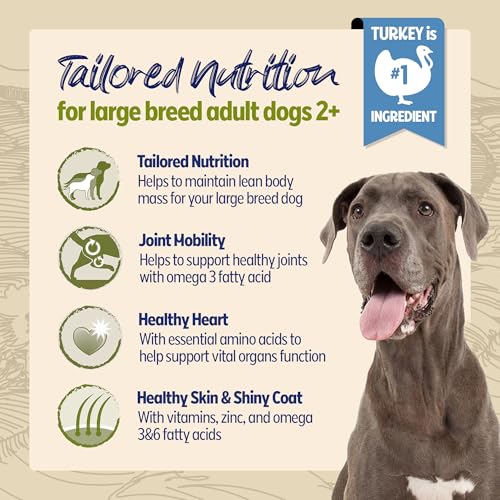 Detalle 2 de BETA Adult Large Breed Turkey Dry Dog Food 14kg