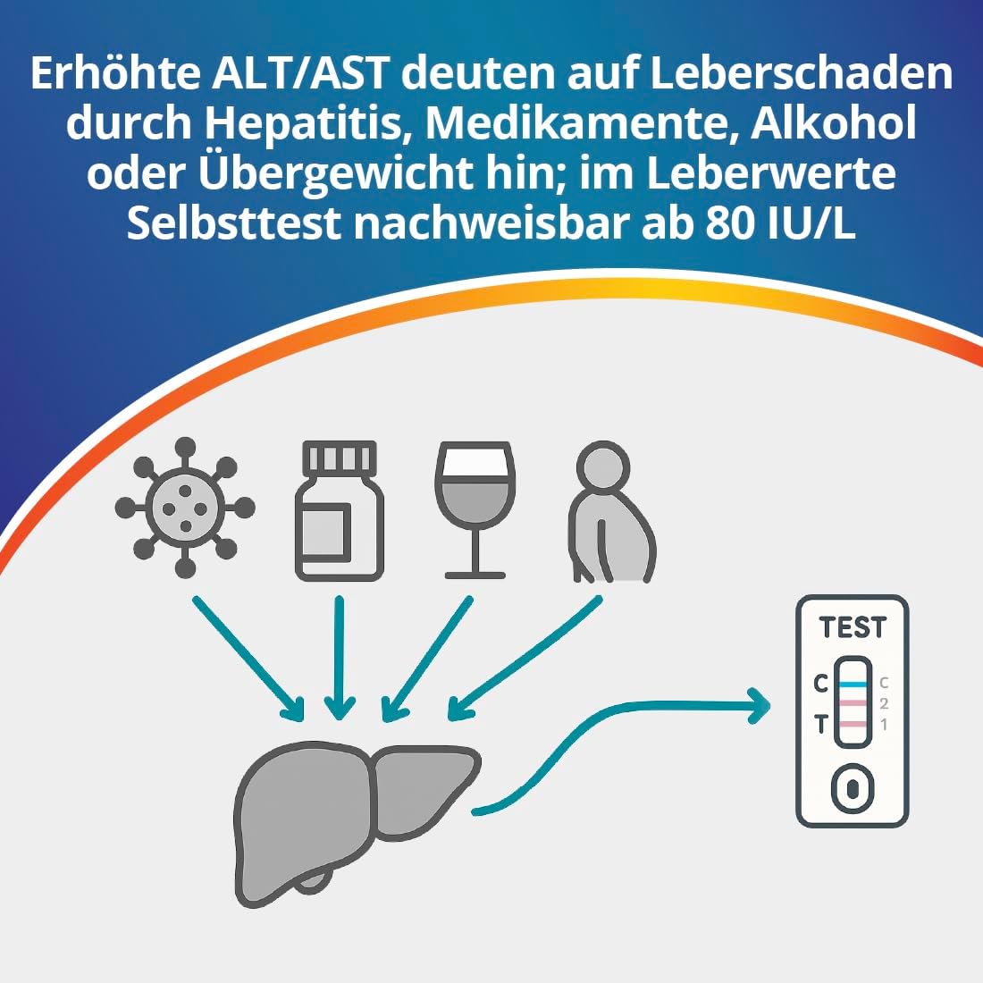 Thumbnail 3 de ADESTE Lebertest – Leberwerte Selbsttest, 1 Test