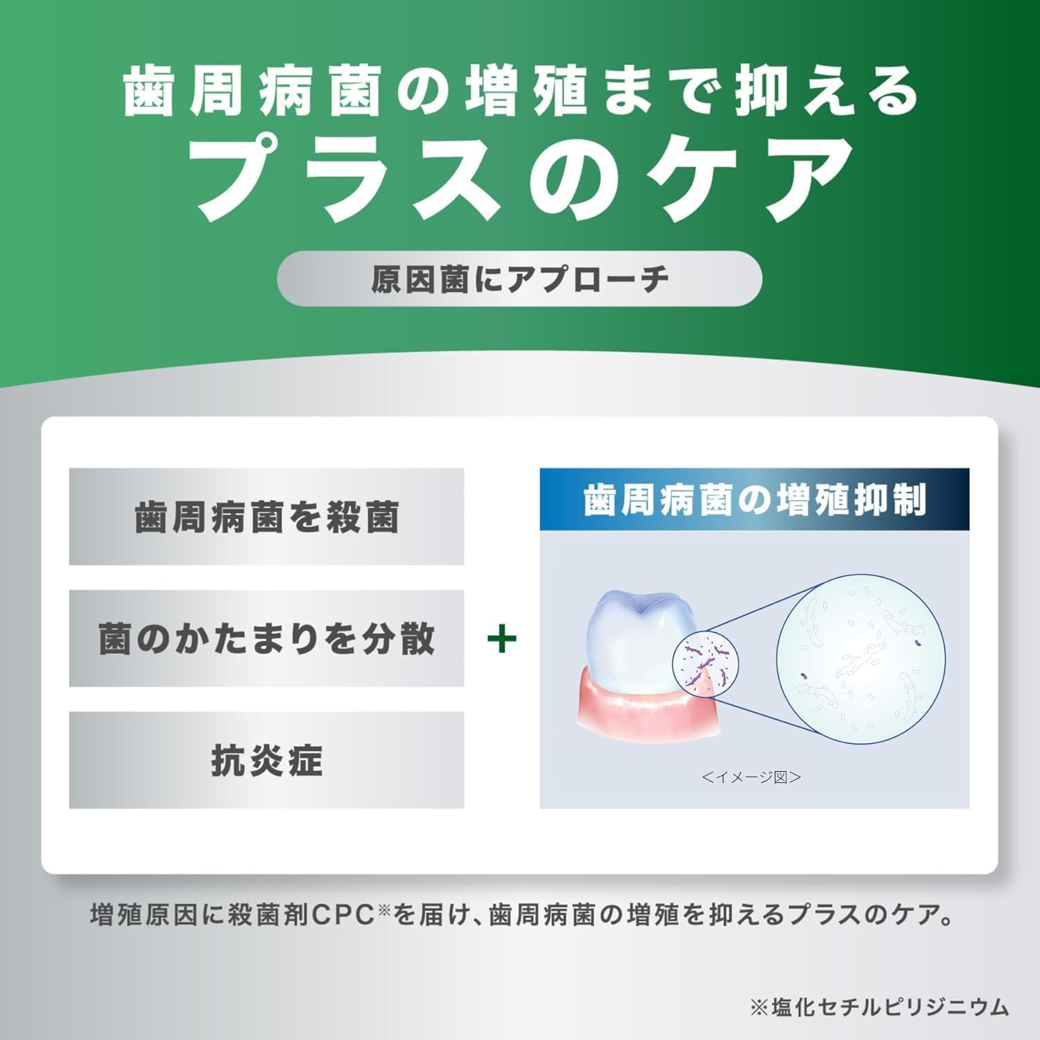 Detalle 2 de GUM(ガム)プラス デンタルペースト ハーブミント 120g×2個+おまけ付き