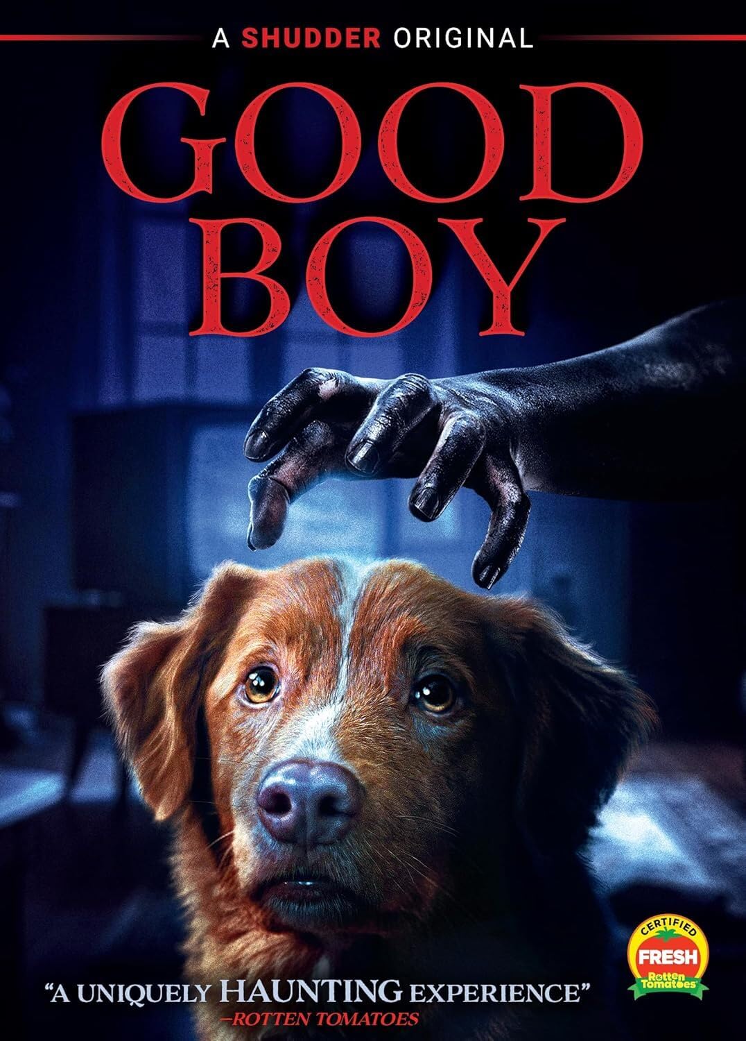 Detalle de Good Boy SHU00589DVD DVD, Widescreen Horror Movie with Bonus Features