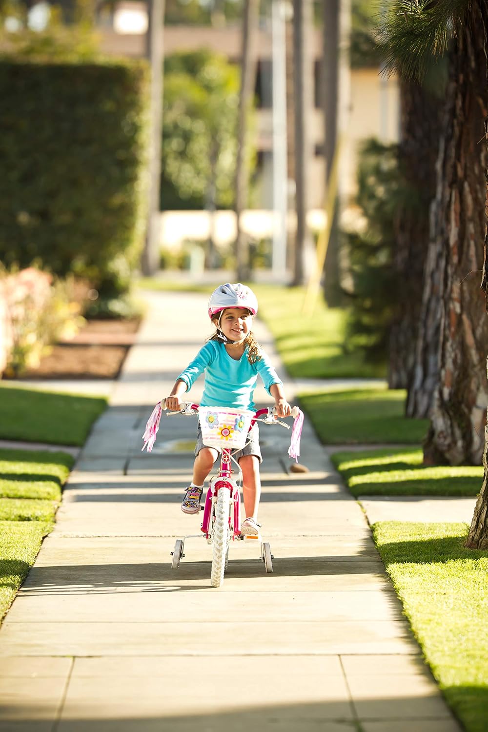Detalle 2 de Schwinn Kids' Bike Basket