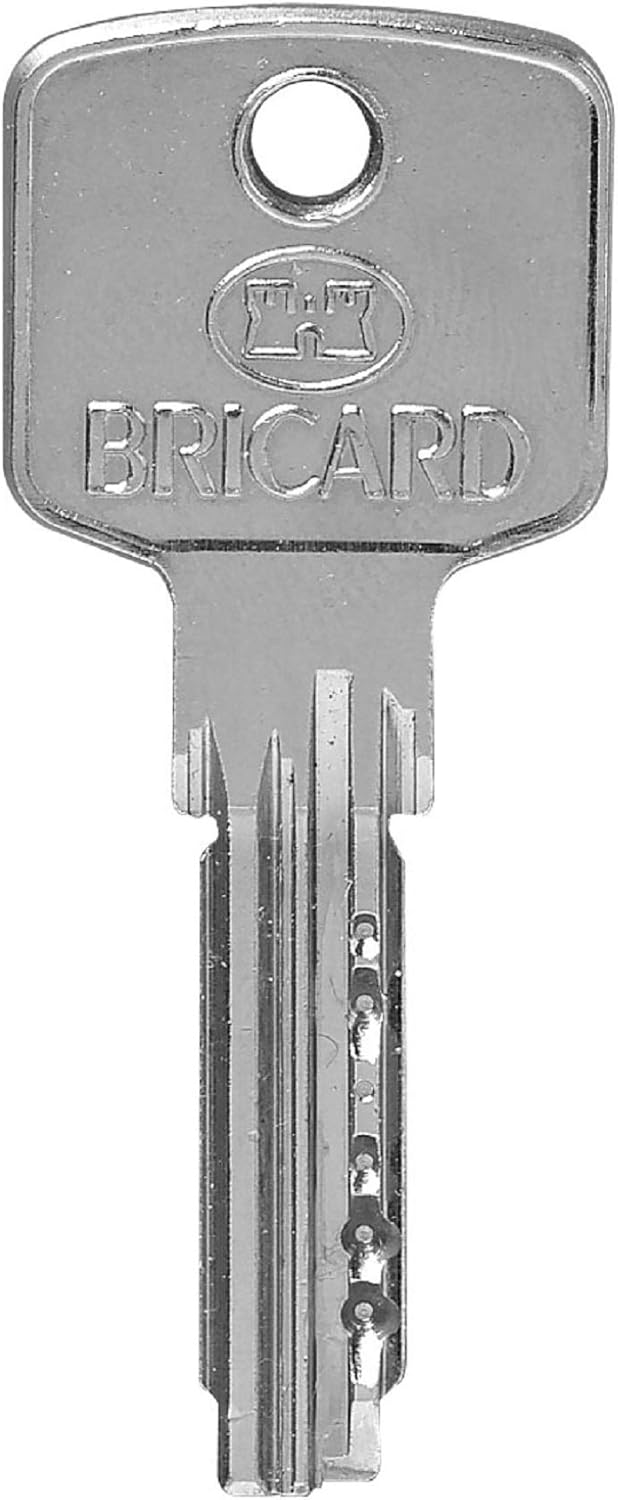 Thumbnail 4 de Bricard serrure à clé 15105 CYLINDRE A6, 30+30 débrayable nickelé – 5 clés réversibles, garantie 10 ans
