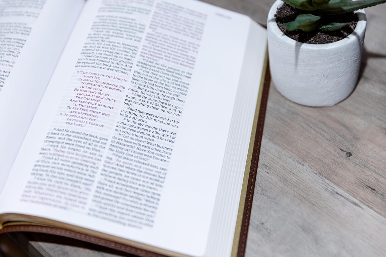 Detalle de Zondervan NASB Wide Margin Bible, Brown Leathersoft, Red Letter, 1995 Text
