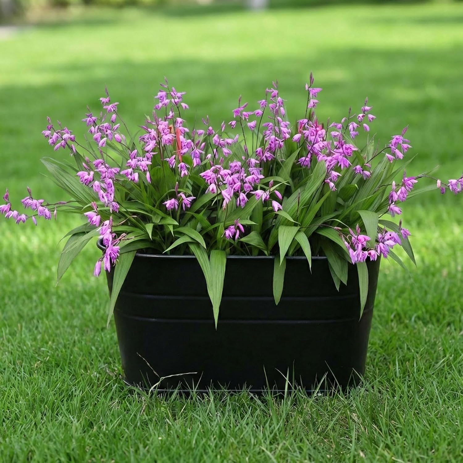 Thumbnail 6 de Atoke 4 Pack Metal Hanging Flower Pots for Railing Fence – 27.5cm Balcony Planter Buckets with Detachable Hooks (Black)