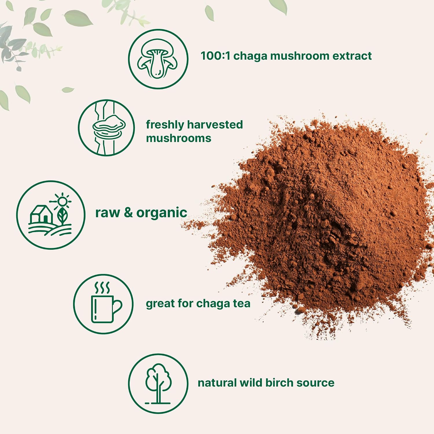 Detalle de Micro Ingredients COT-0100 Organic Chaga Mushroom Extract Powder, 10 oz, 100:1