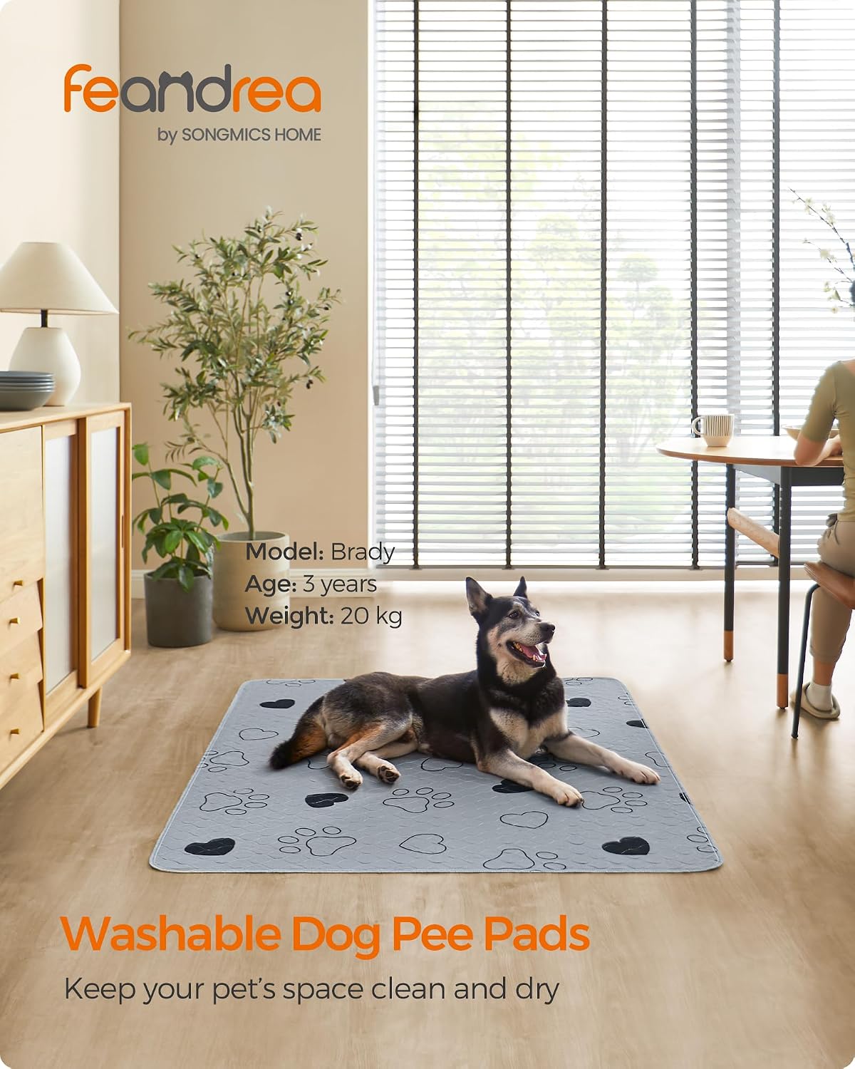 Thumbnail 1 de FEANDREA PTD048G01 Reusable Dog Training Pads, 2 Pack, XL, 152 x 122 cm
