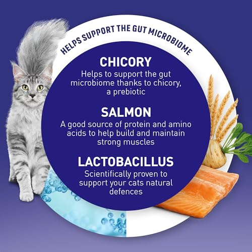 Detalle de Purina One Salmon Dry Cat Food 800g (Pack of 4) – Adult Cat Nutrition