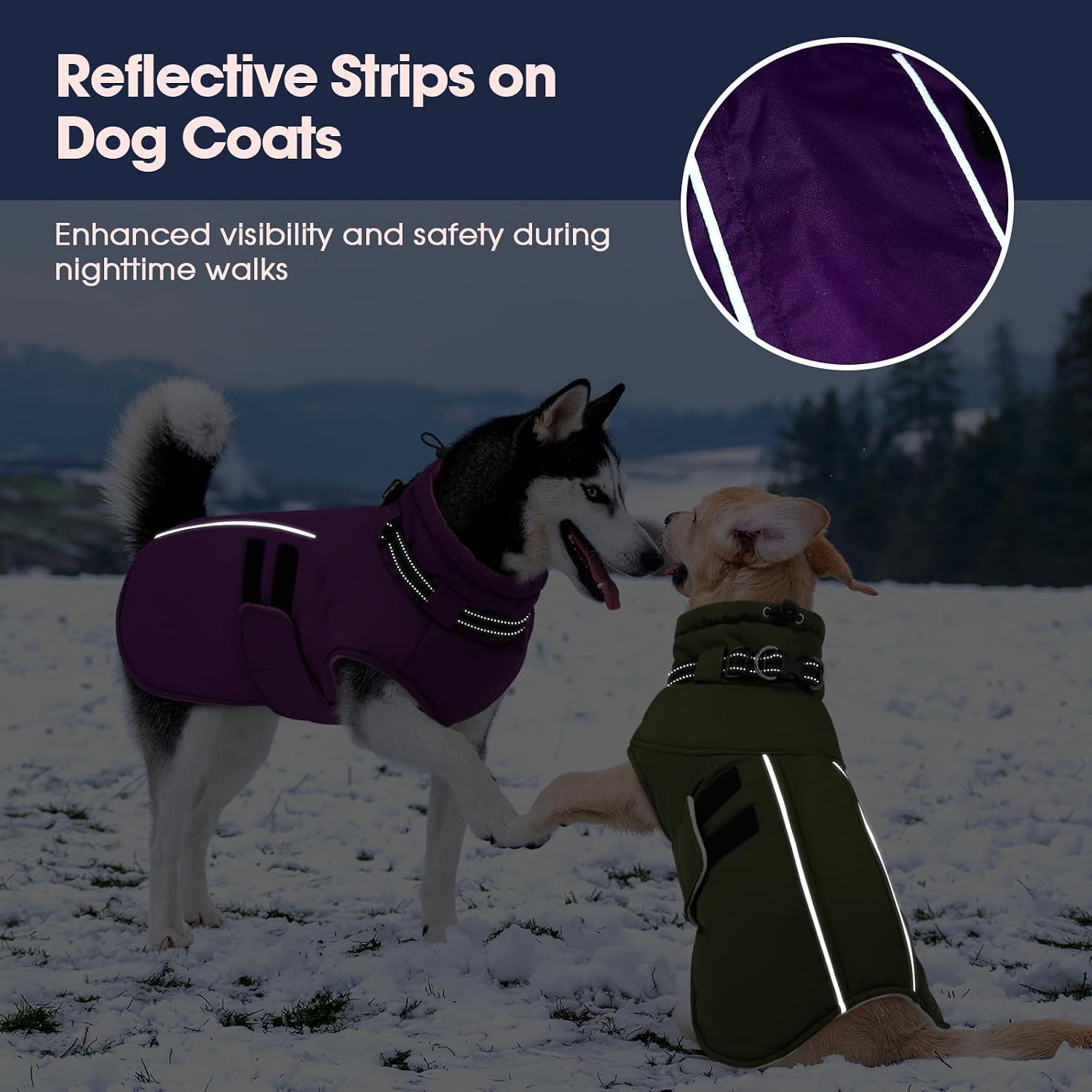 Detalle de IECOii Waterproof Dog Coat, L