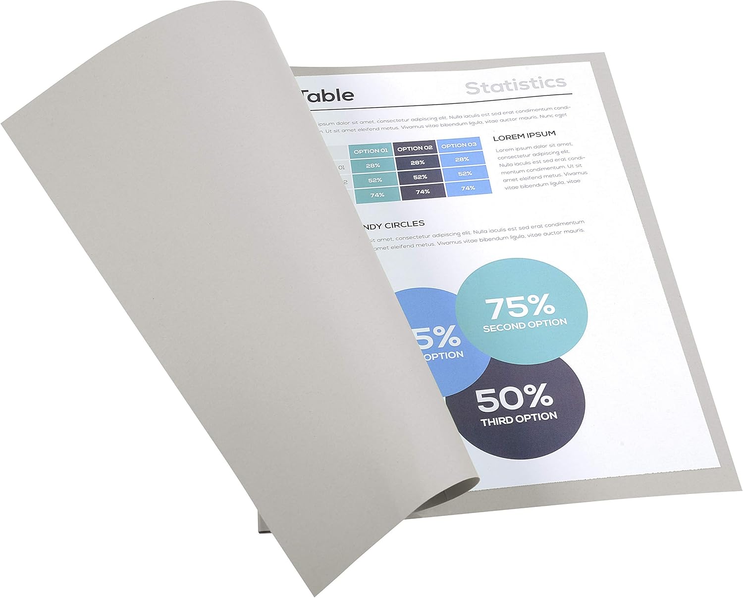 Thumbnail 2 de Exacompta 420009E : chemises 100 % recyclées ⚙️