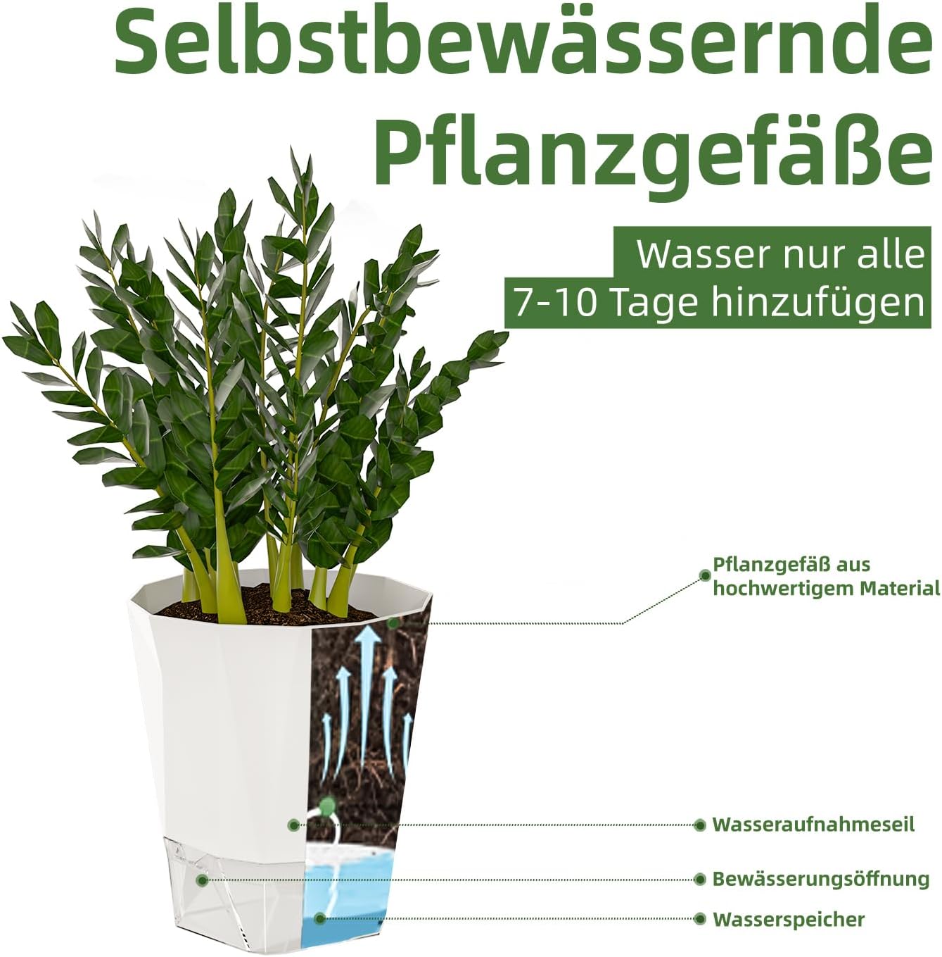 Detalle 2 de SONNHELL 4er Selbstbewässernde Blumentöpfe