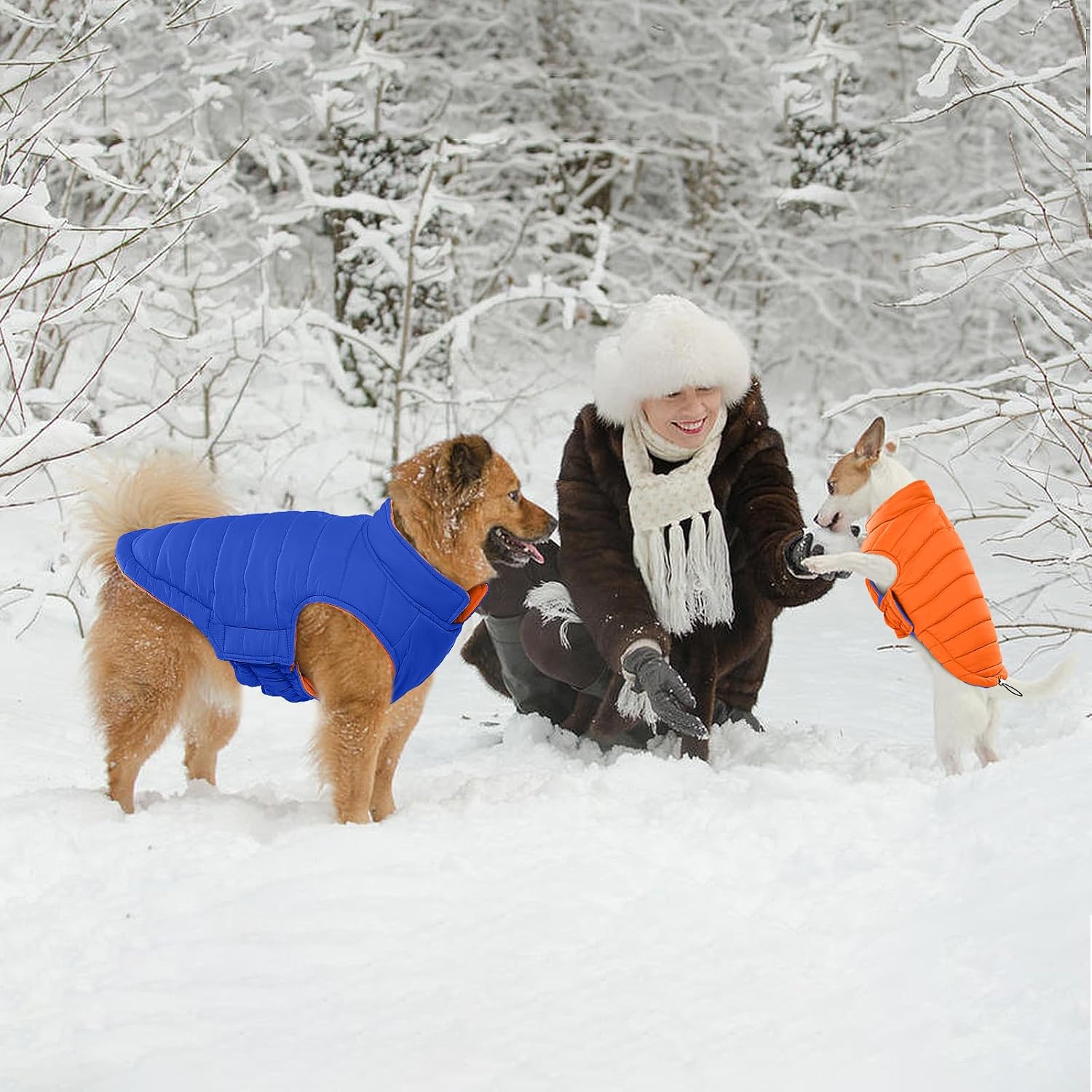 Thumbnail 6 de Lelepet Reversible Dog Winter Coat