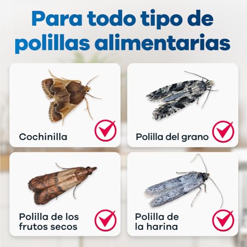 Thumbnail 4 de Gerobug Trampa para Polillas de Alimentos con feromonas (10 unidades) sin veneno