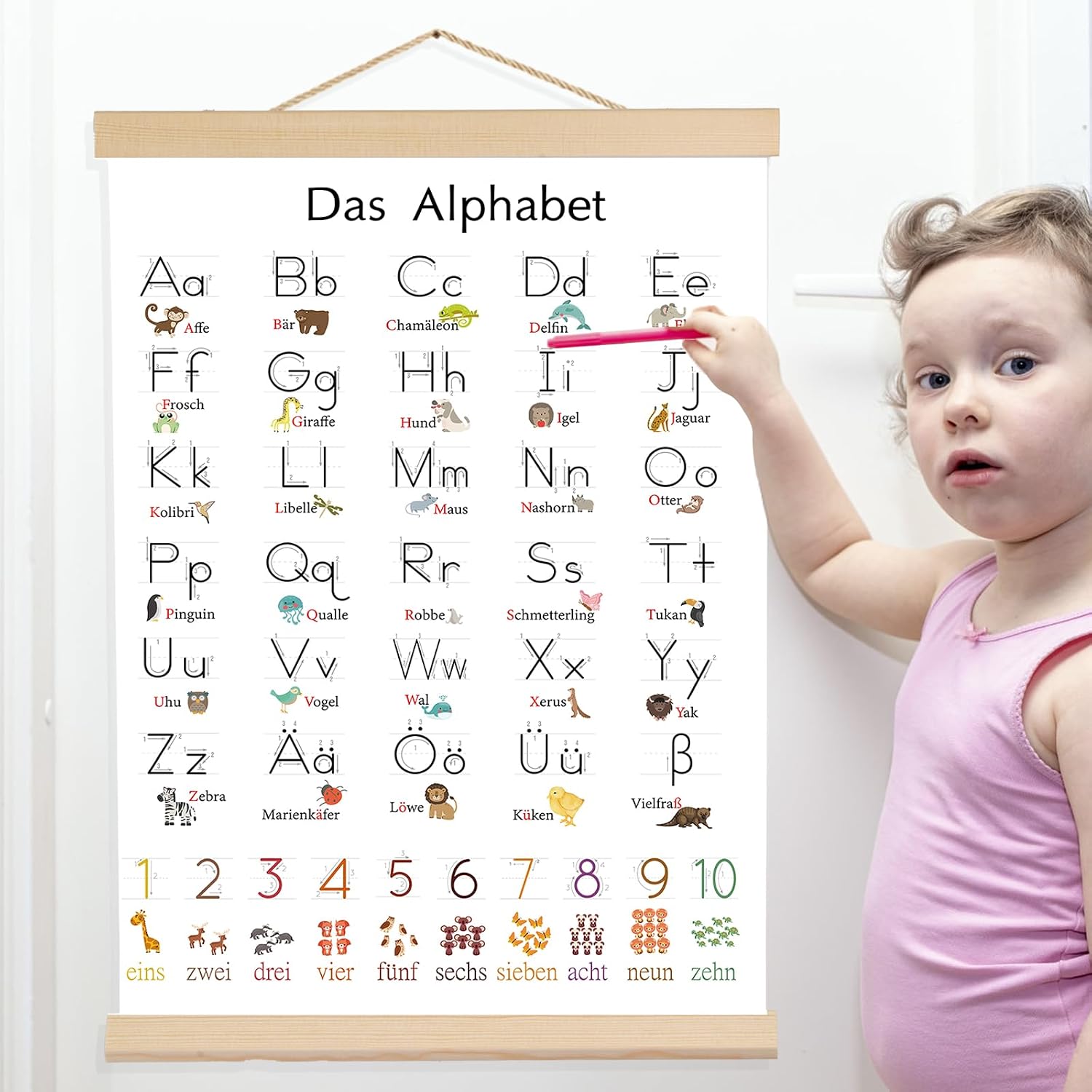 Thumbnail 5 de Maxmoc ABC Poster für Kinder (30x40 cm) mit Zahlen 1–10 – Lernposter für Kindergarten & Grundschule