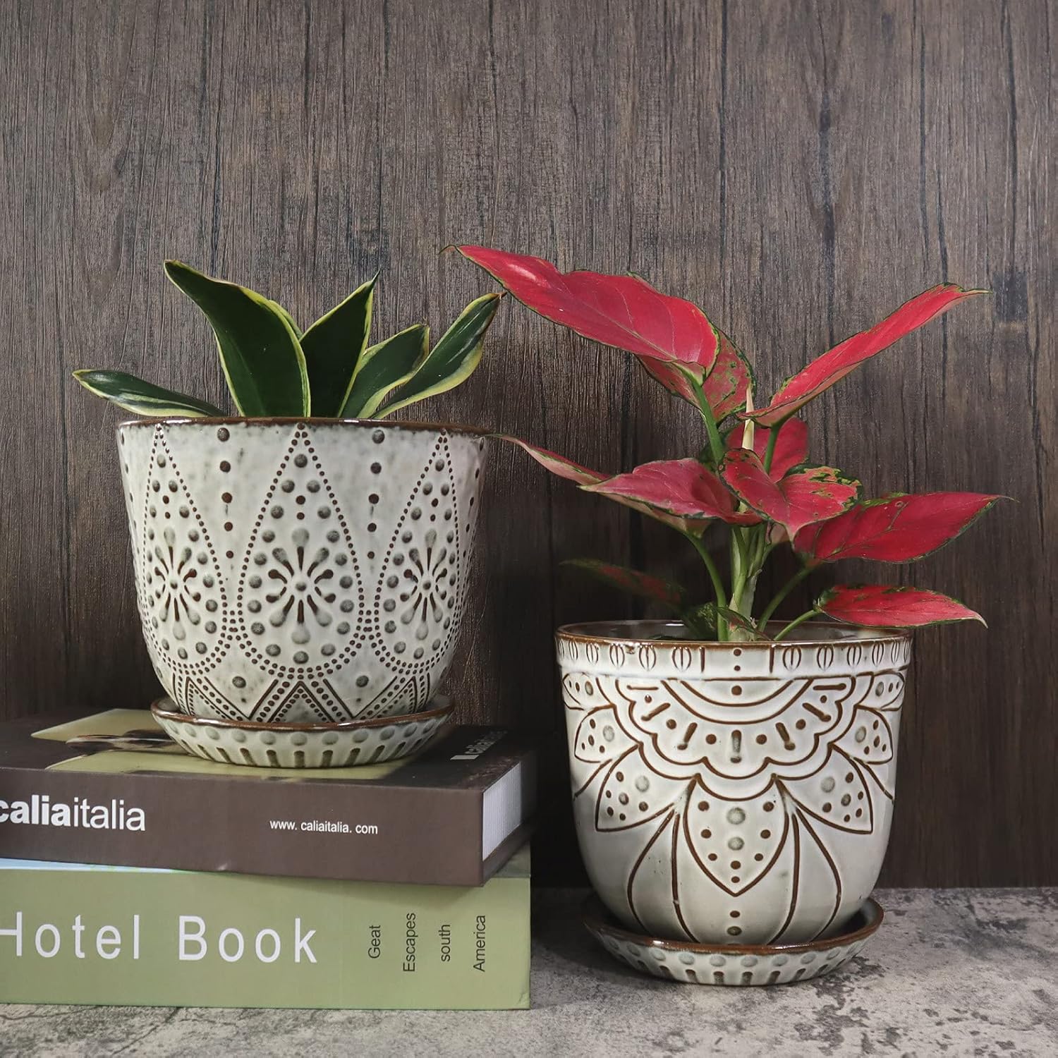 Thumbnail 5 de Gepege 6 Inch Beaded Ceramic Planter Set (2)