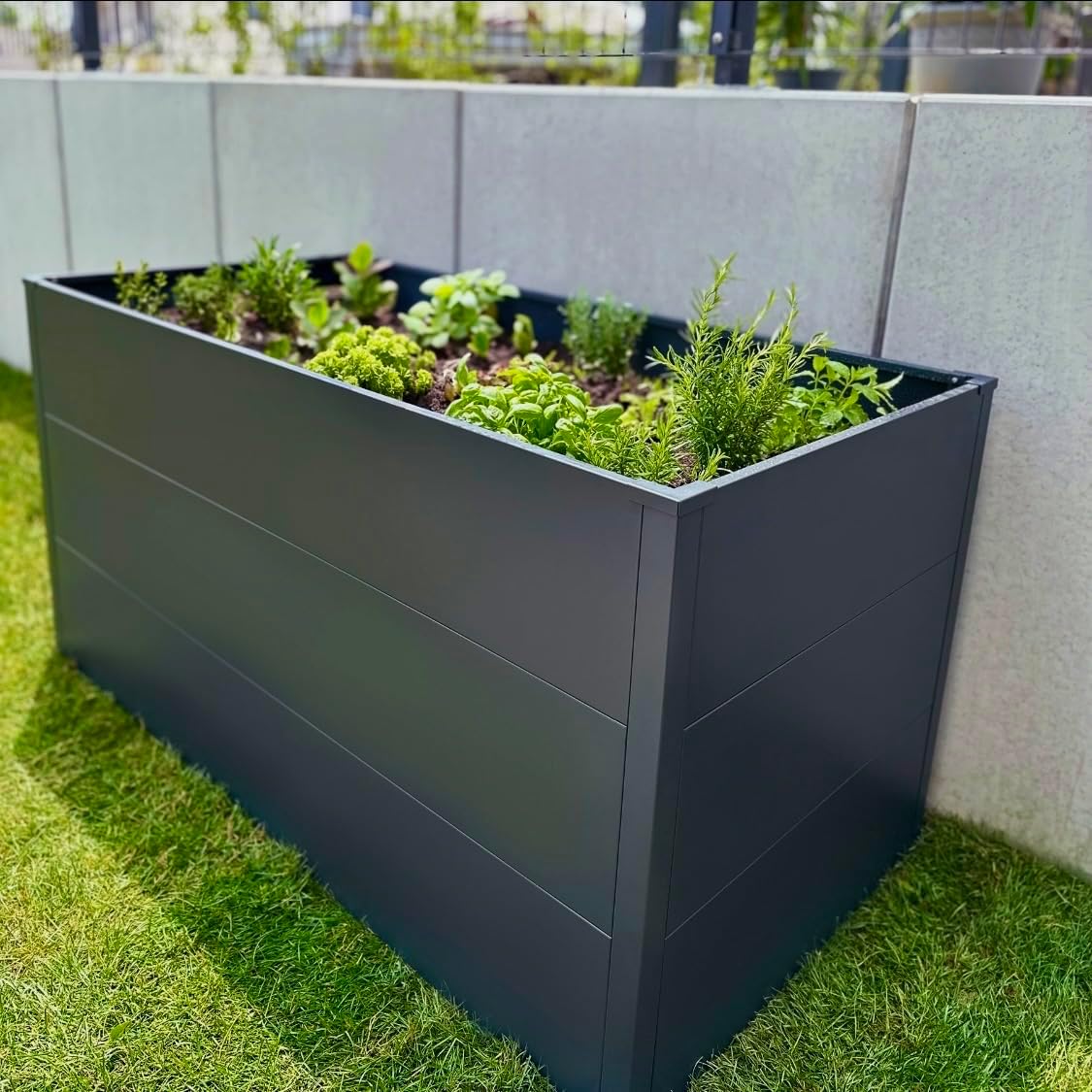 Thumbnail 6 de Metzler Hochbeet für den Garten aus Stahl in Anthrazit – 150 x 75 x 77 cm