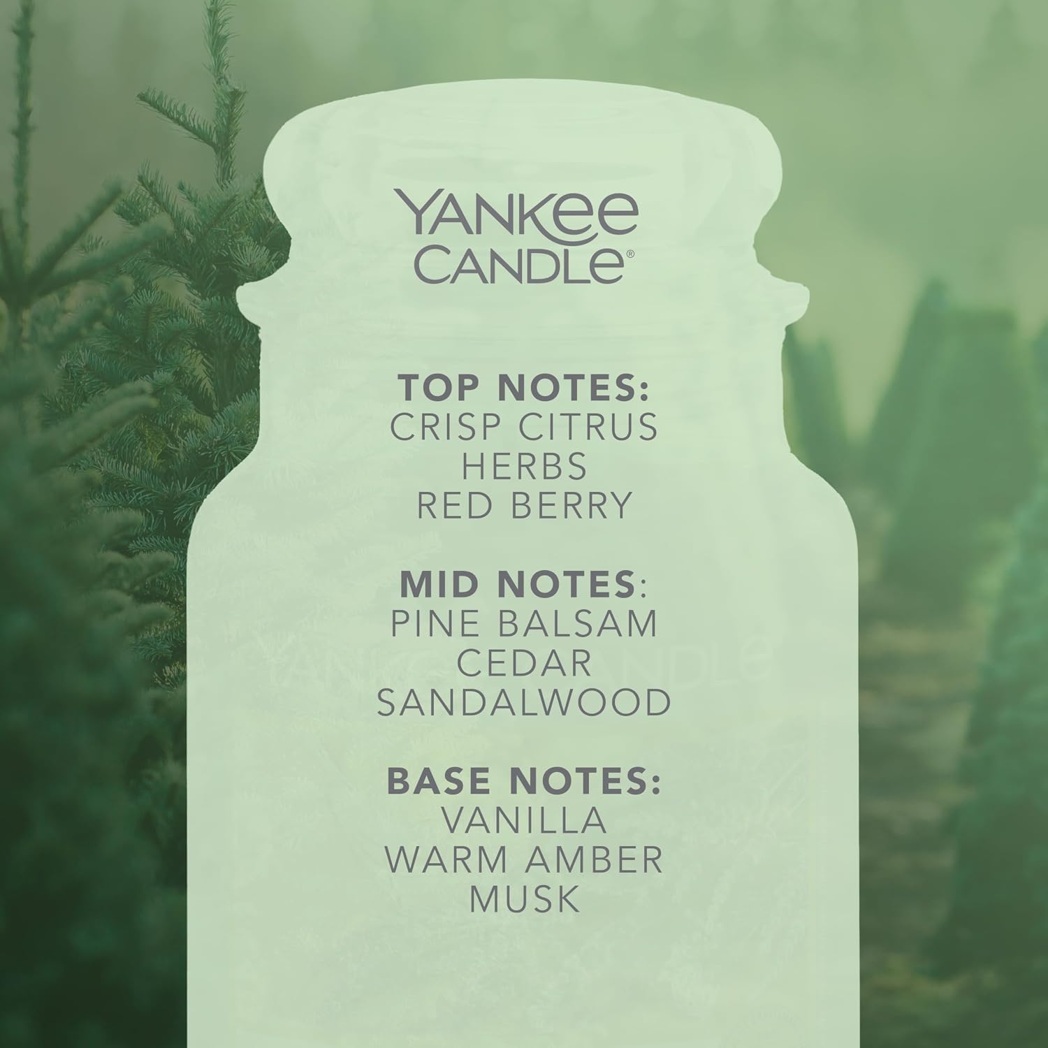 Thumbnail 2 de Yankee Candle Balsam & Cedar Large Jar 150h 🕯