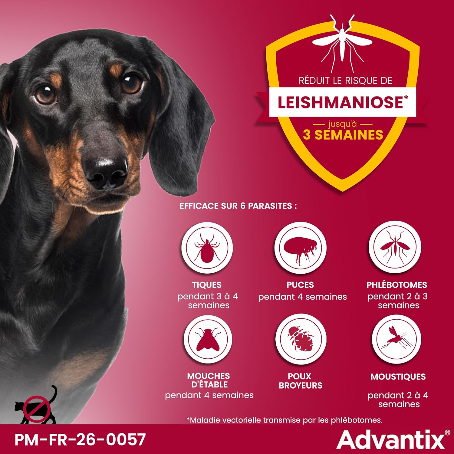 Detalle 2 de Advantix Petit Chien 4–10 kg, 4 pipettes de 1,0 ml – Protection antiparasitaire externe sur 4 semaines