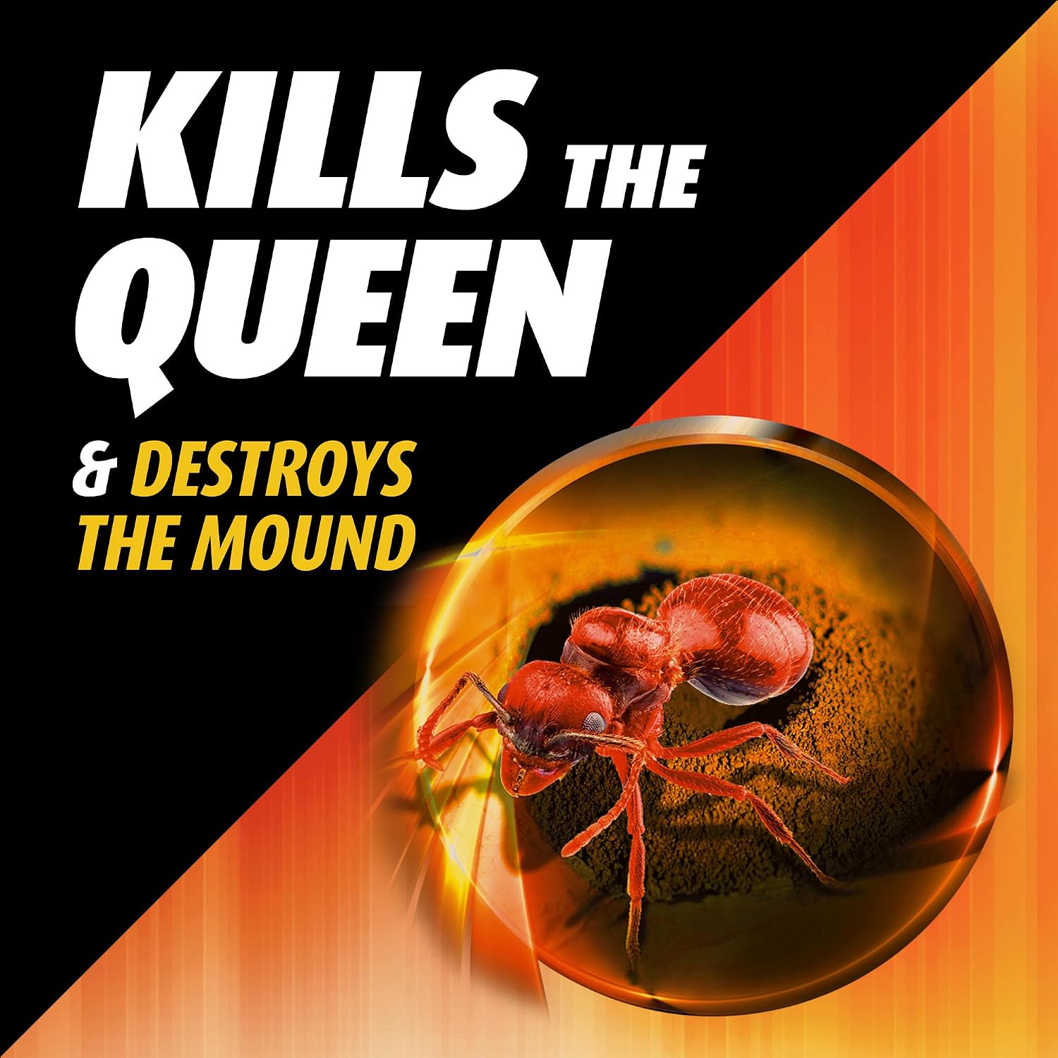 Thumbnail 1 de Ortho Fire Ant Killer 14 oz