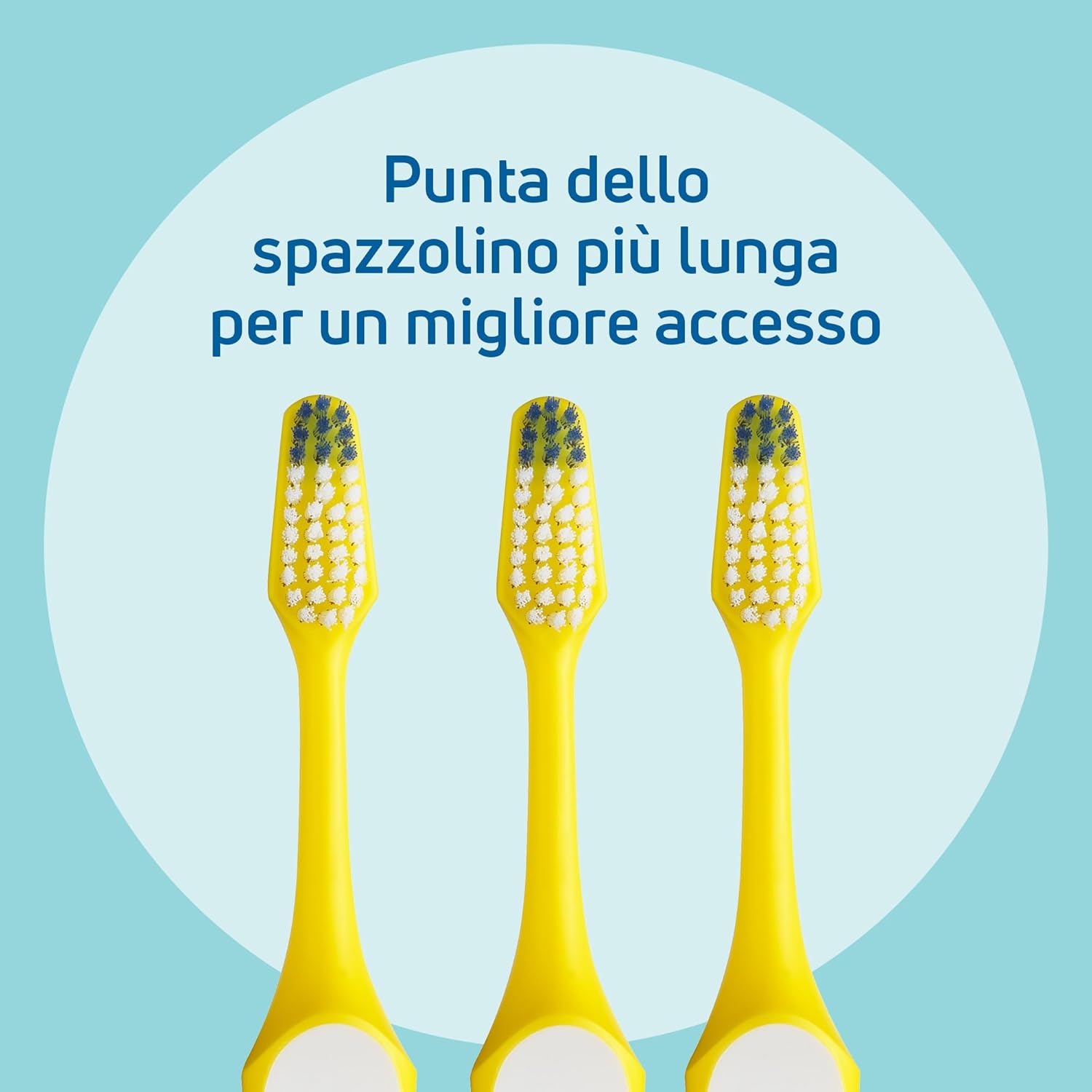 Detalle de Spazzolino TePe Nova Medium – 3 pezzi, punta allungata per accesso migliore ai denti posteriori