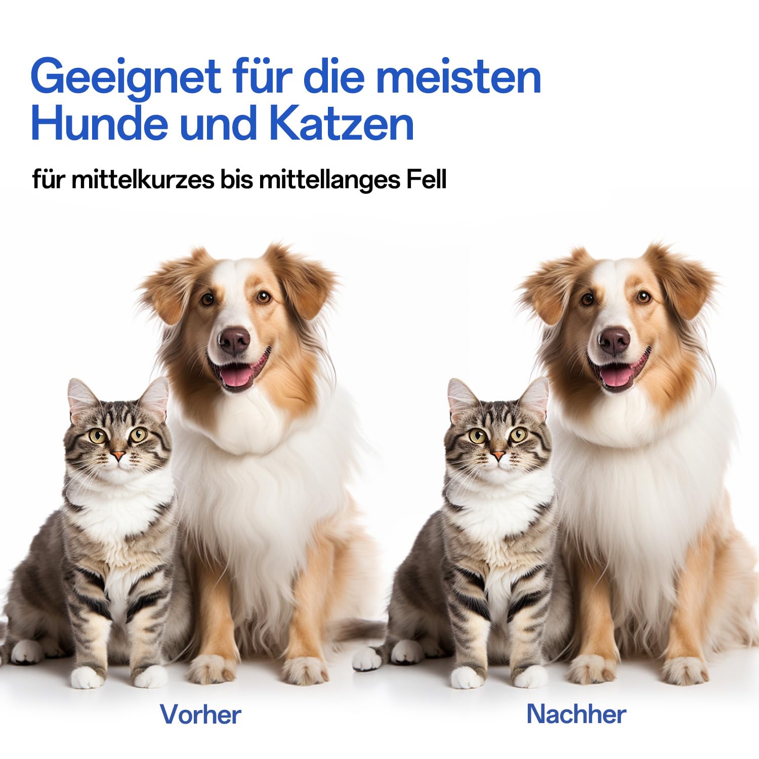 Thumbnail 5 de ACE2ACE Haustier Bürste für Hunde und Katzen 🐾