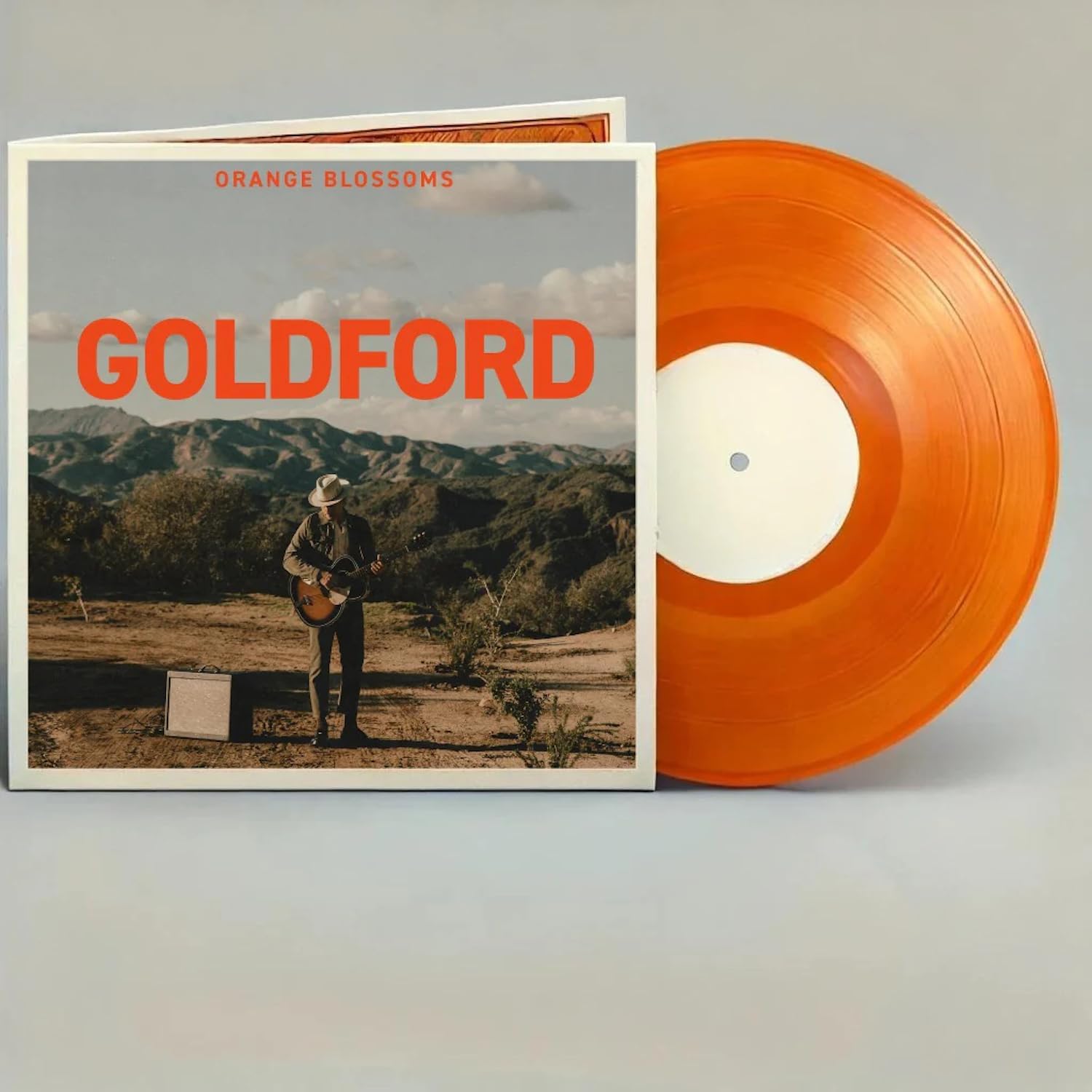Detalle de Goldford Orange Blossoms - Orange Crush Vinyl LP Record