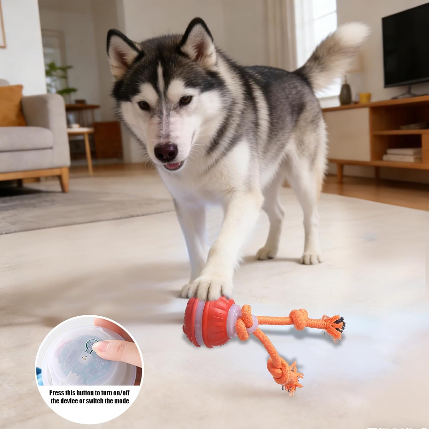 Thumbnail 1 de BRTNUP Interactive Dog Ball Toy with Tail — Smart Moving Ball for Dogs
