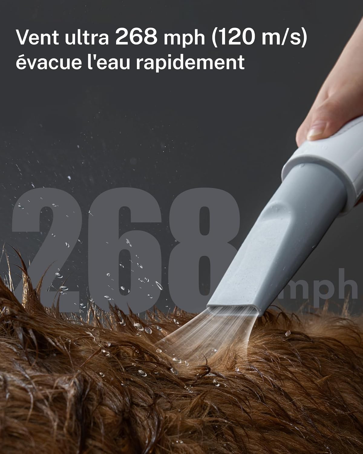 Thumbnail 2 de HomeRunPet Pulseur pour chien silencieux 43 dB : sèche-cheveux professionnel avec 3 buses