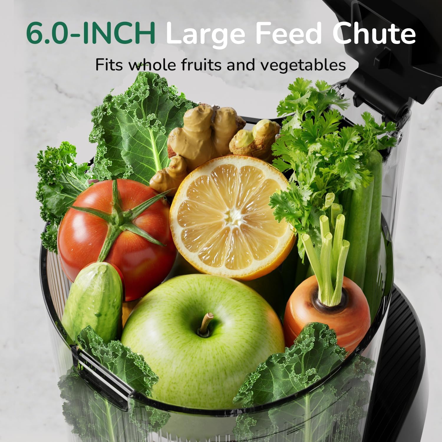 Thumbnail 2 de Canoly C16 Cold Press Juicer 6" Feed