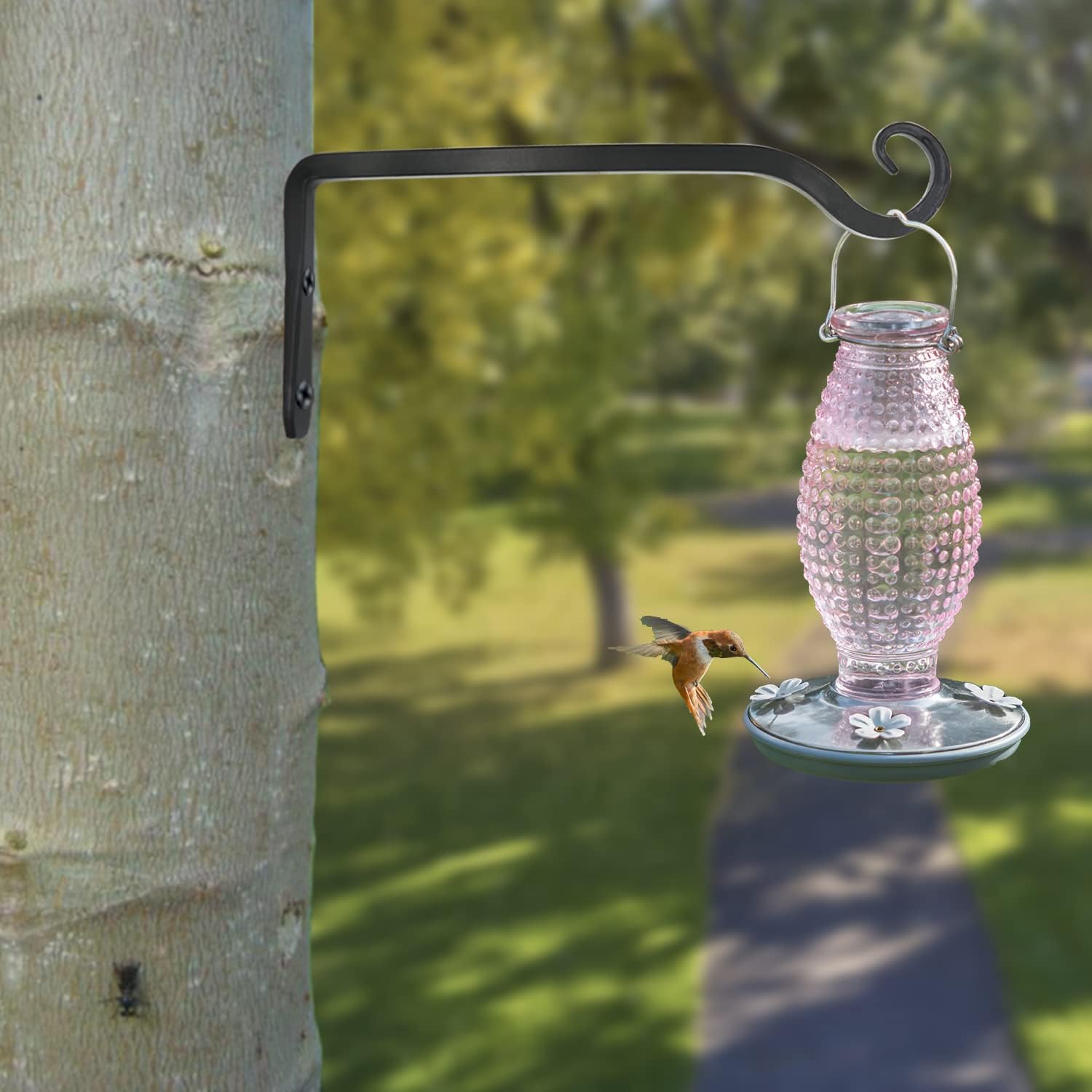 Detalle 2 de LOOGI Pflanzenhalterung & Blumenampelhalter aus Eisen mit Wandhaken, 25 cm – 2 Stück