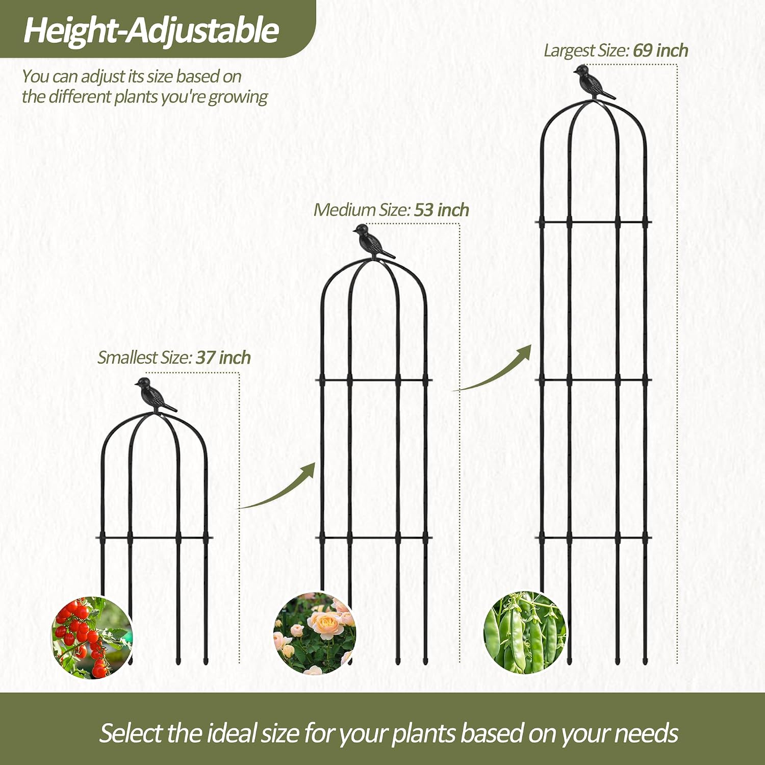 Detalle 2 de Trellume TL-HJ-010 Garden Obelisk Trellis, Adjustable Steel Support, 69 in.