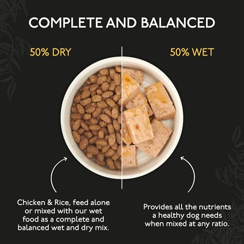 Detalle de Skinner’s Field & Trial Chicken & Rice – Complete Dry Adult Dog Food, Sensitive, Gentle Digestion, 15kg