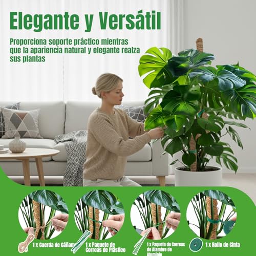 Thumbnail 5 de McBazel Tutor Monstera 120 cm con Alma de Aluminio y 4 cm de diámetro