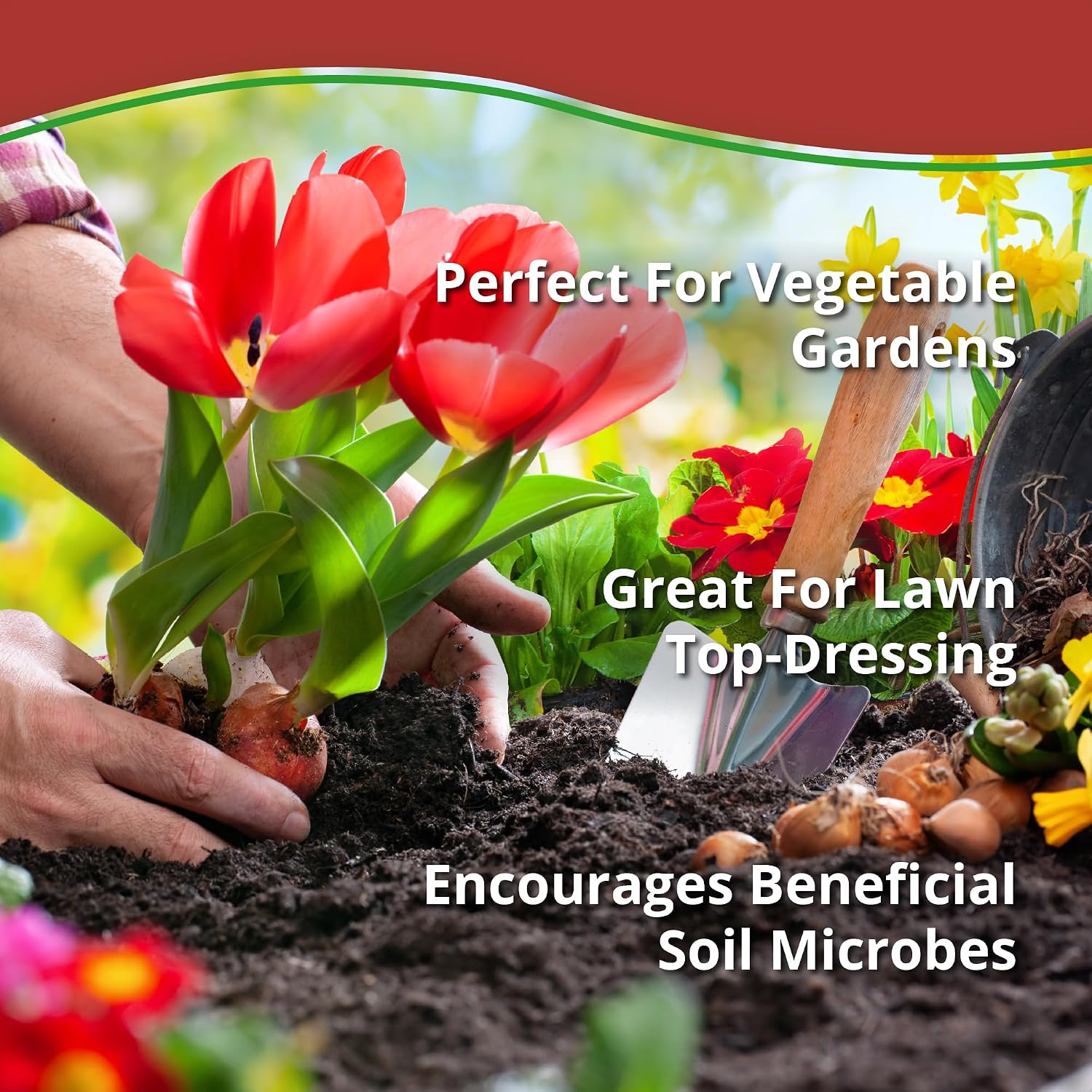 Detalle 1 de Plantonix Worm Bliss Organic Worm Castings, 1-Quart OMRI-Listed Soil Amendment